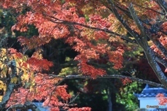 西林寺にて２