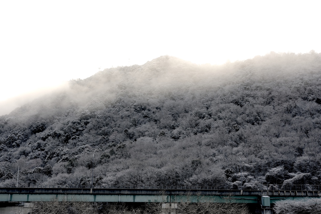 冬の朝２　散歩道にて