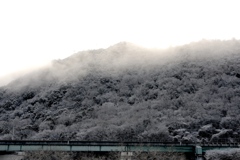 冬の朝２　散歩道にて