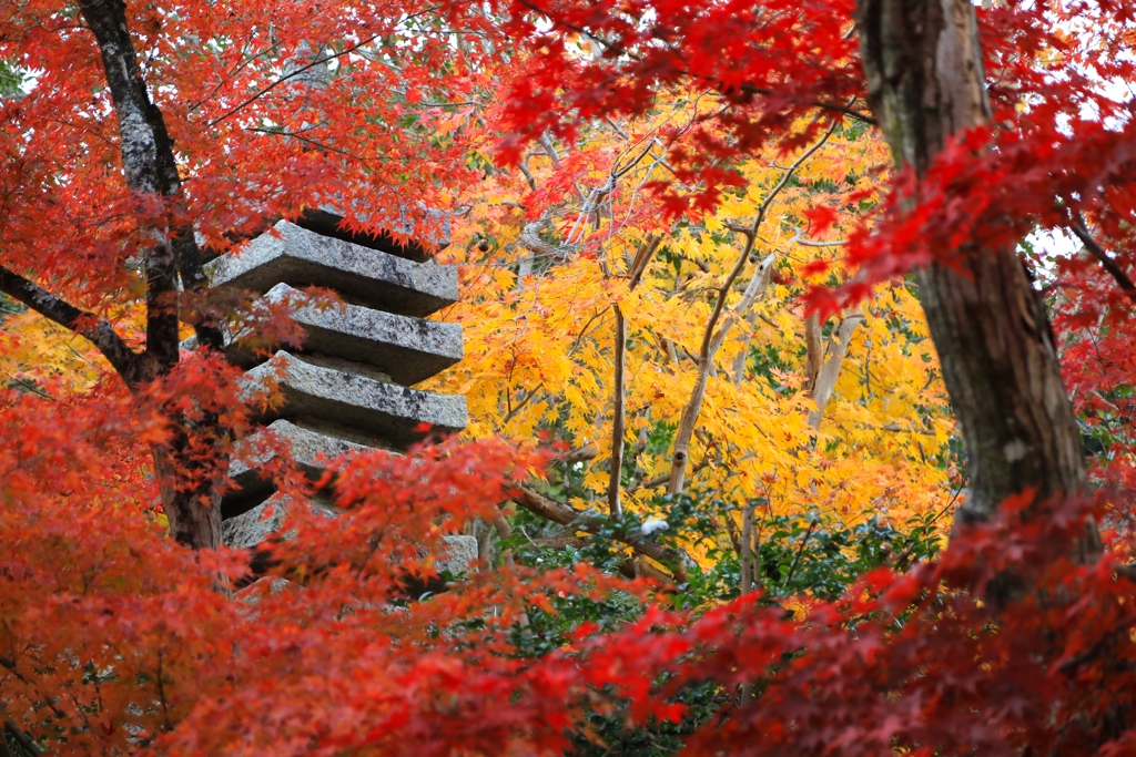 西林寺にて０１