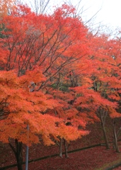 播磨中央公園にて２