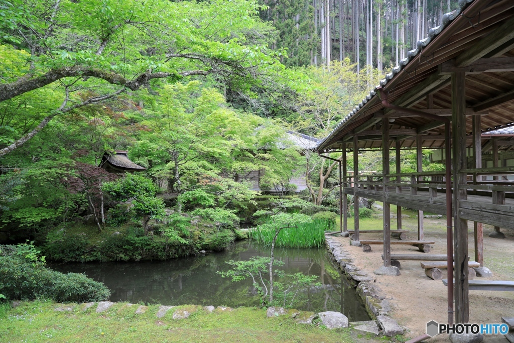 新緑の慧日寺にて１