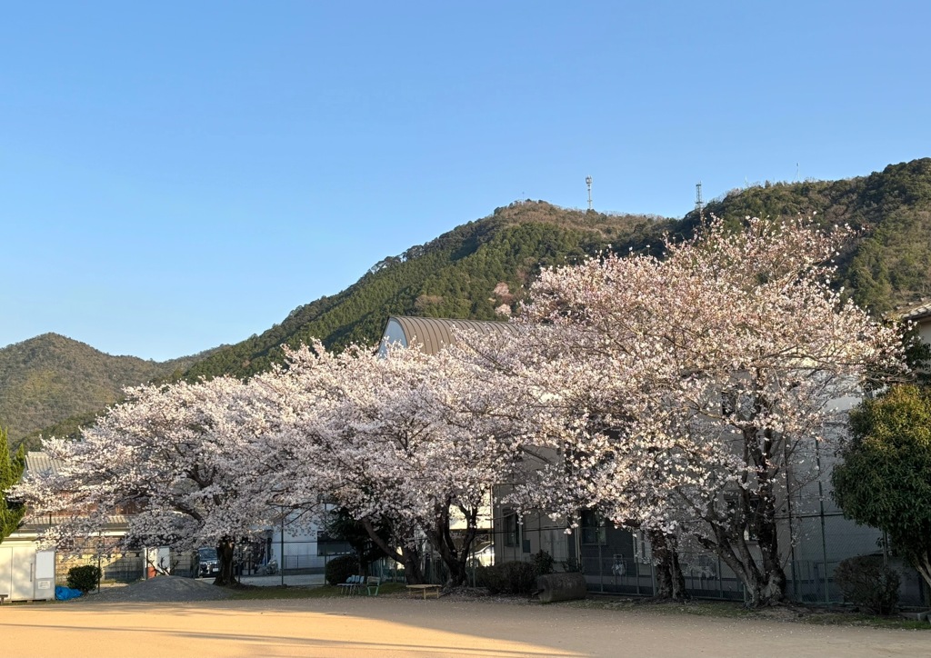 近くの公園で