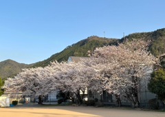 近くの公園で