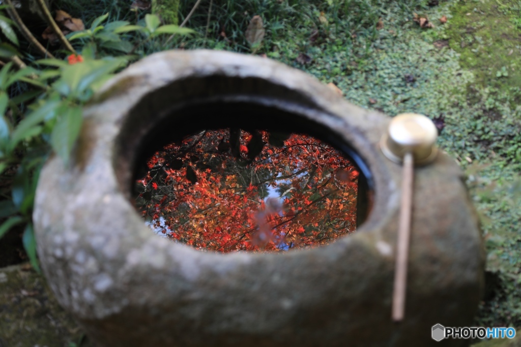 慧日寺にて３