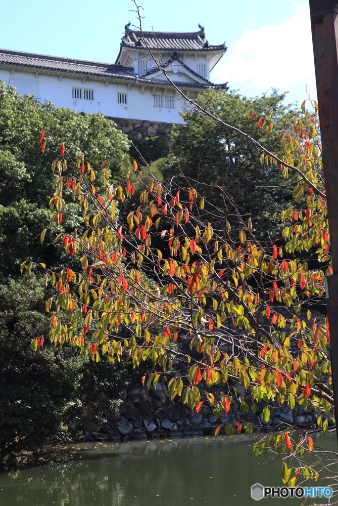 ちょっぴり秋色　姫路城にて