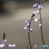 職場にて