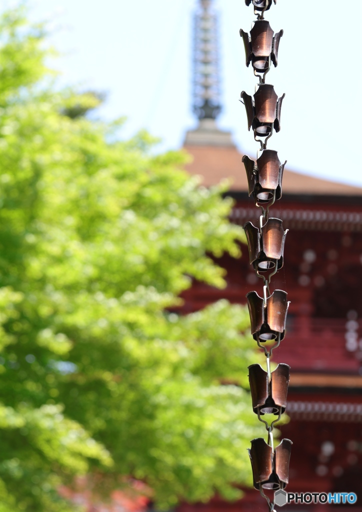 柏原八幡宮にて４