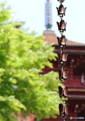 柏原八幡宮にて４