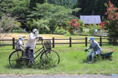今日も暑いねぇ！　奥播磨かかしの里にて