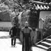 京都 妙心寺にて