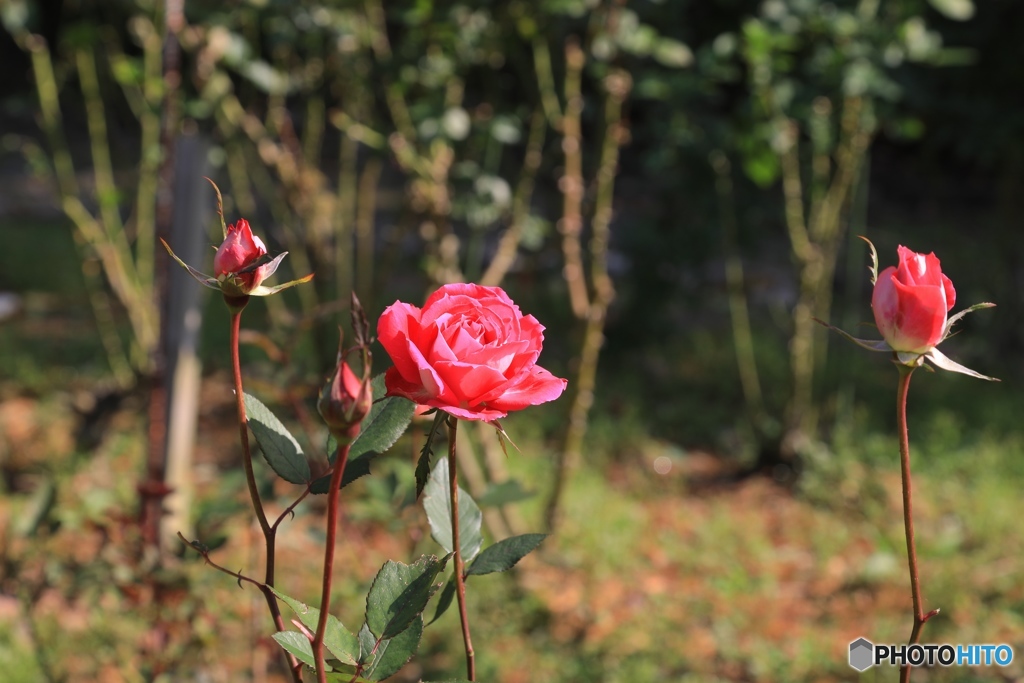 余暇村公園にて２