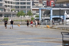 神戸ハーバーランドにて７