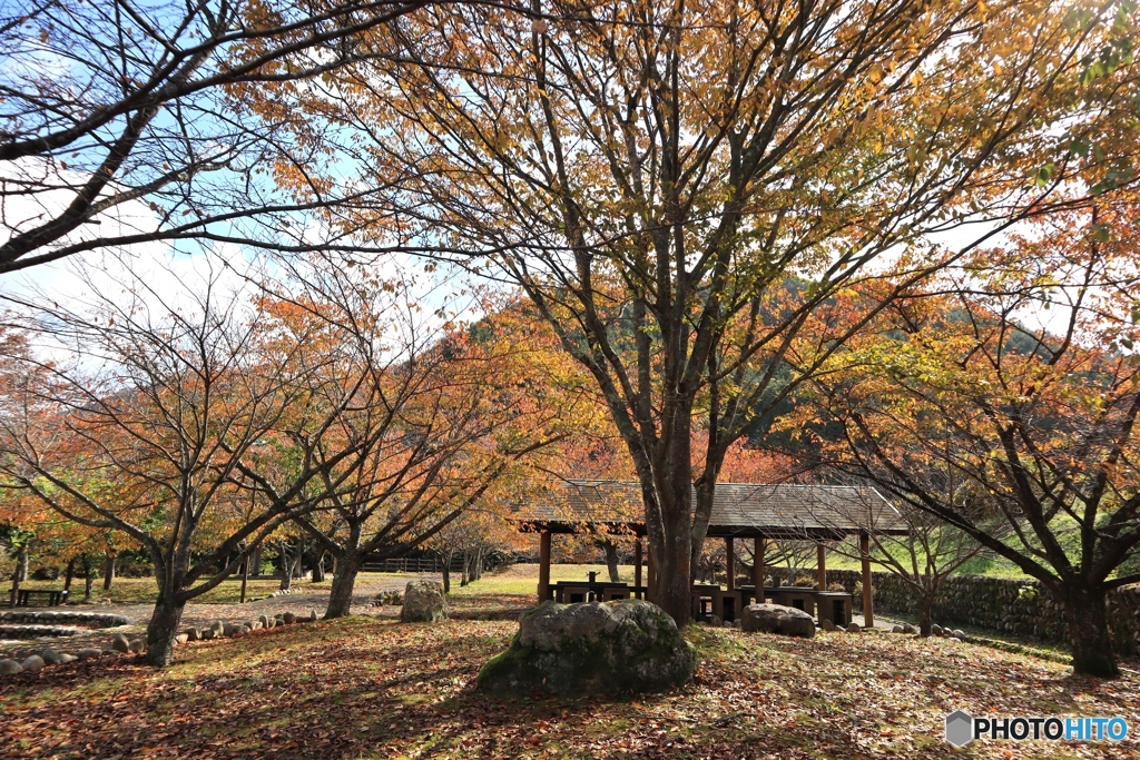 丹波 川代公園にて３