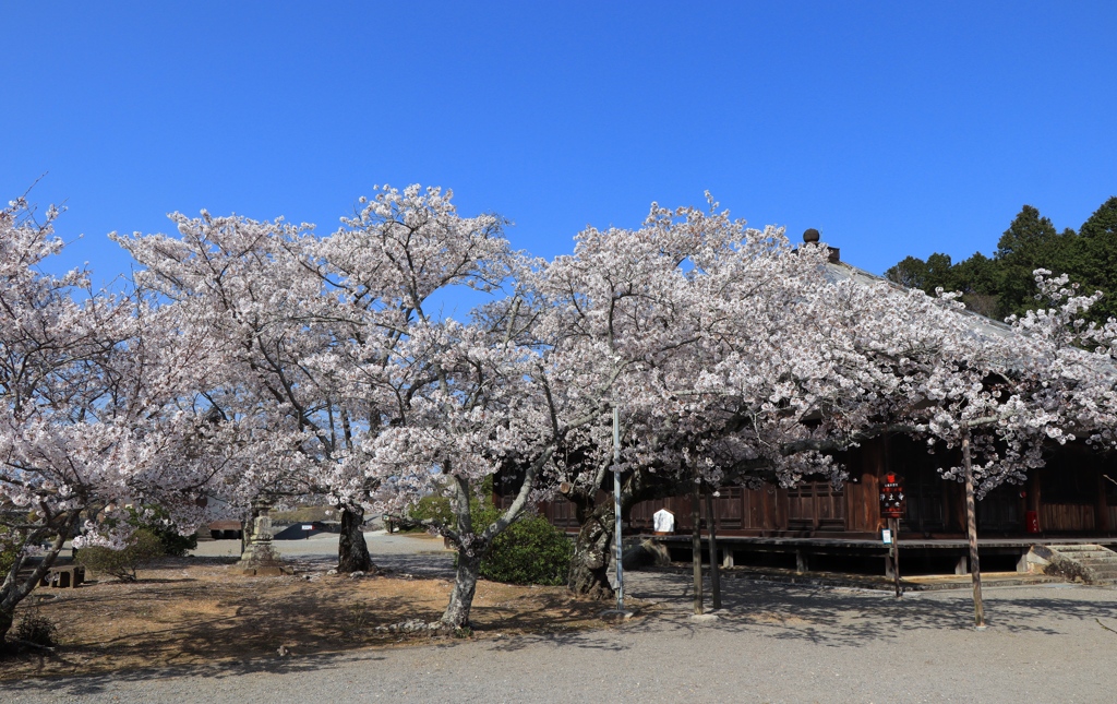 小野市　浄土寺にて