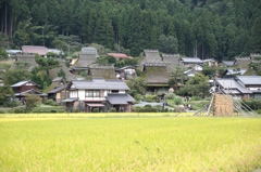 かやぶきの里にて2