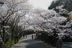 播磨中央公園にて２