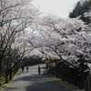 播磨中央公園にて２