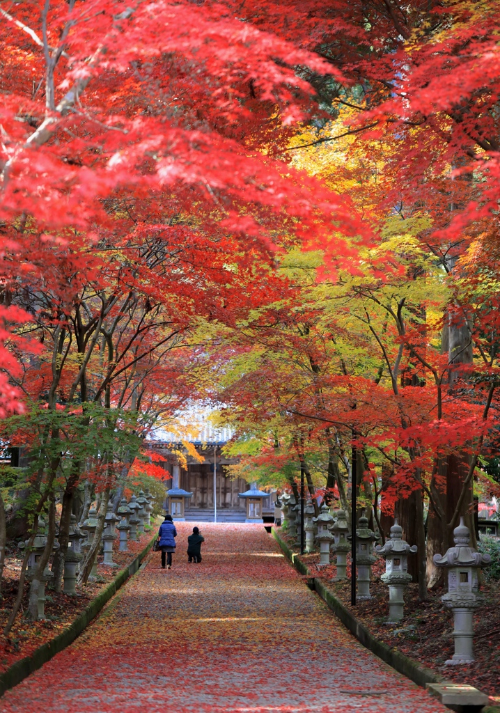 西林寺にて　その後１