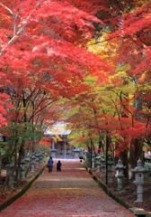 西林寺にて　その後１