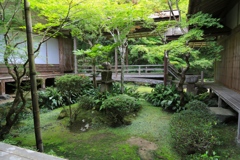 慧日寺にて２