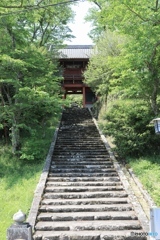 丹波古刹 常勝寺にて （山門）