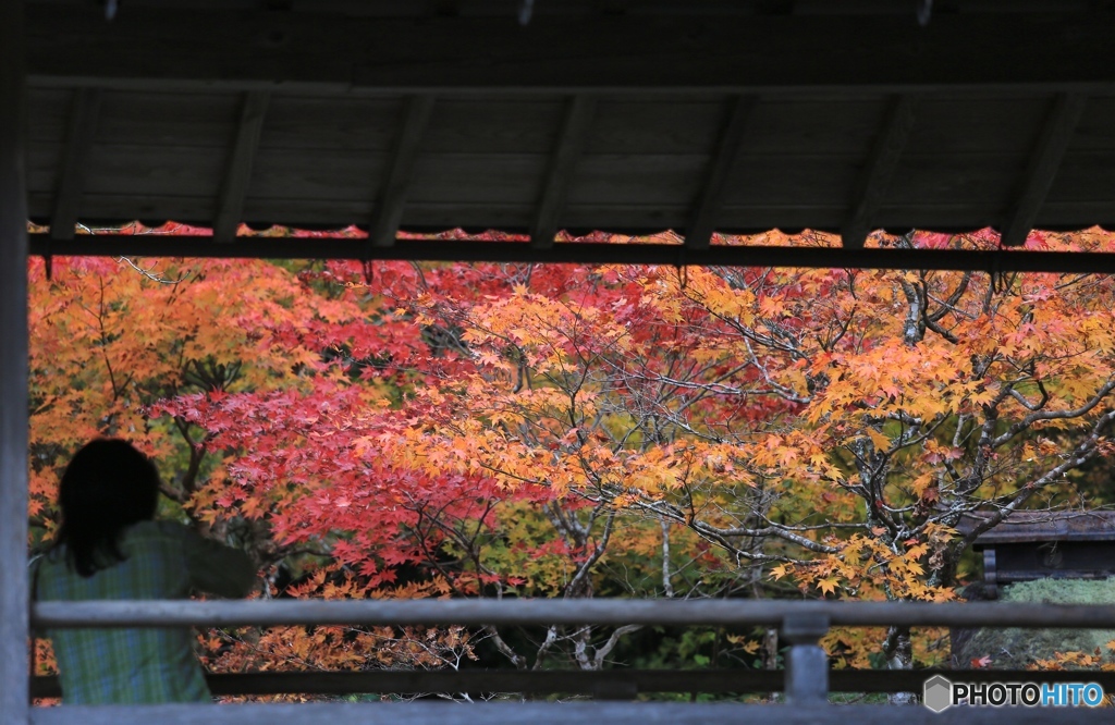 丹波　慧日寺にて３