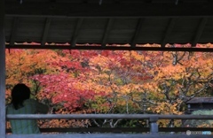 丹波　慧日寺にて３