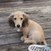 クウちゃん　テラスデビュー