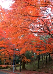 播磨中央公園にて１