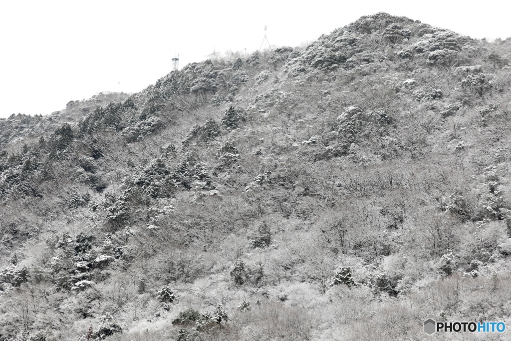 故郷向山雪景色