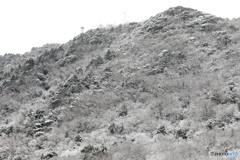 故郷向山雪景色