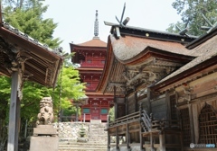 柏原八幡宮にて１