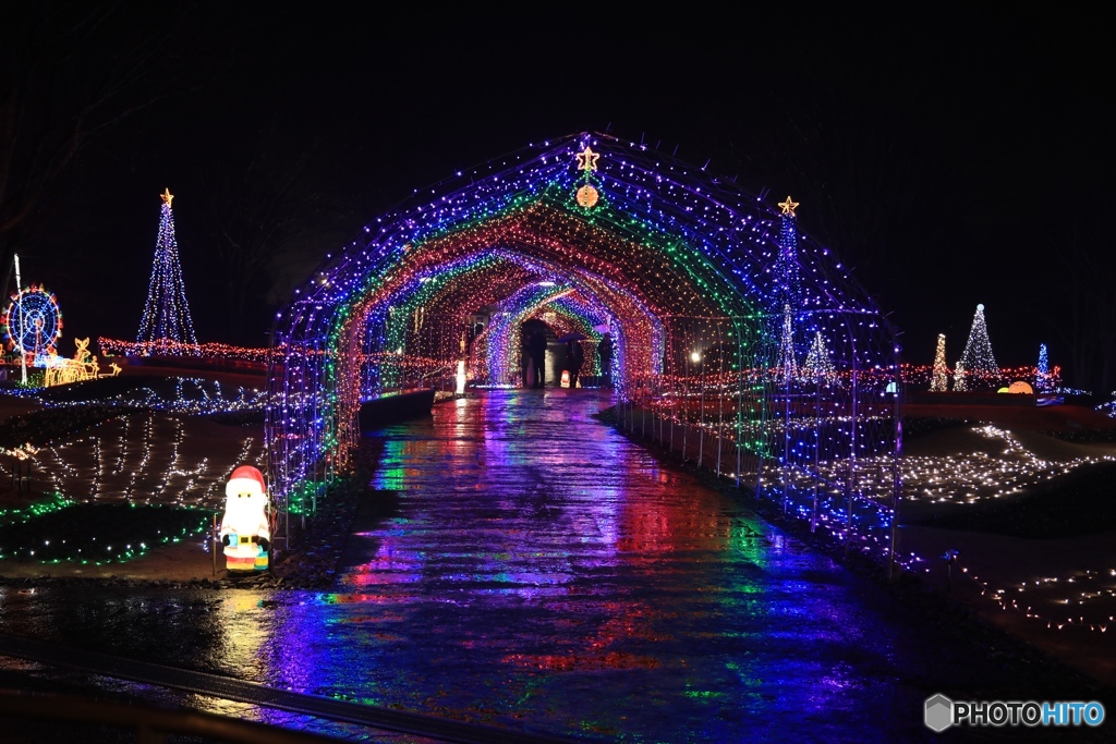 フラワーセンターにて２