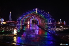 フラワーセンターにて２