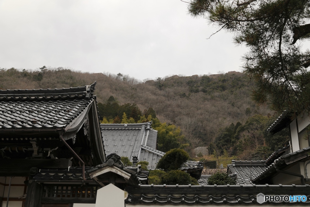 竹田城跡を望む　寺越し