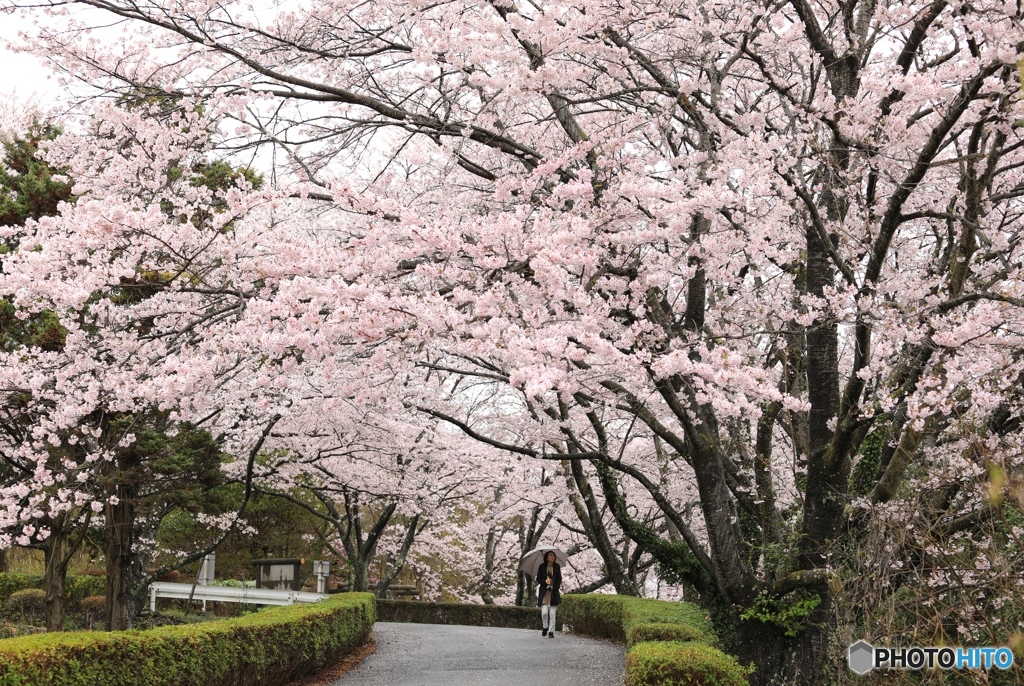 いこいの村はりまにて３