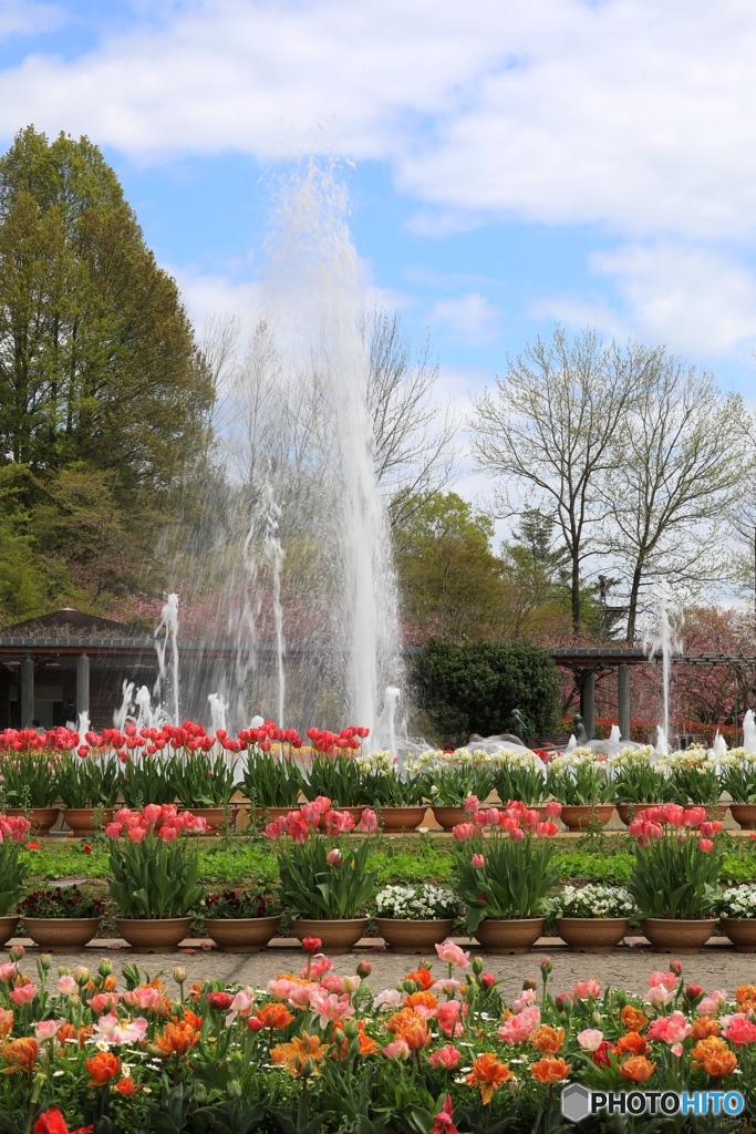 フラワーセンターにて２