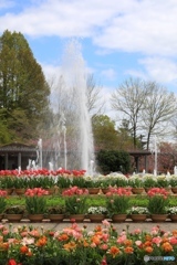 フラワーセンターにて２