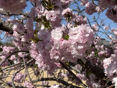 近くの公園で