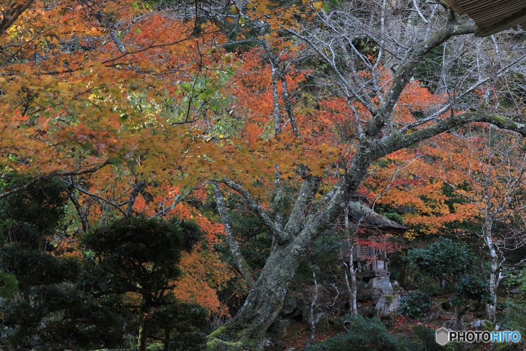 慧日寺にて７