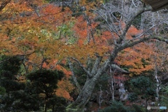 慧日寺にて７