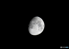 今夜の月