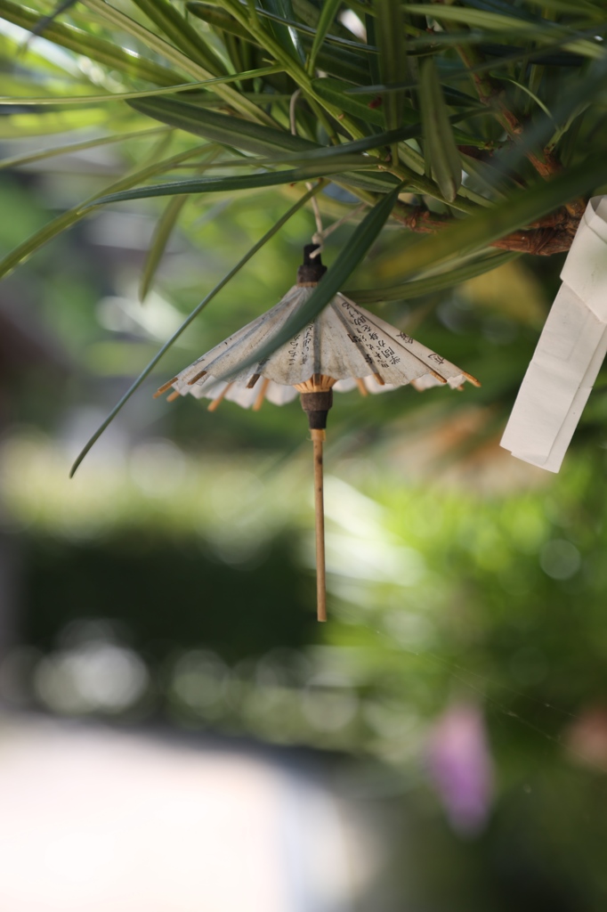 松陰神社 傘のおみくじ