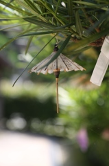 松陰神社 傘のおみくじ