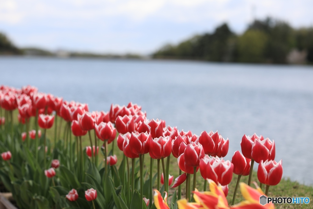 フラワーセンターにて４