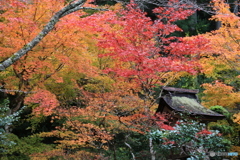 丹波　慧日寺にて９