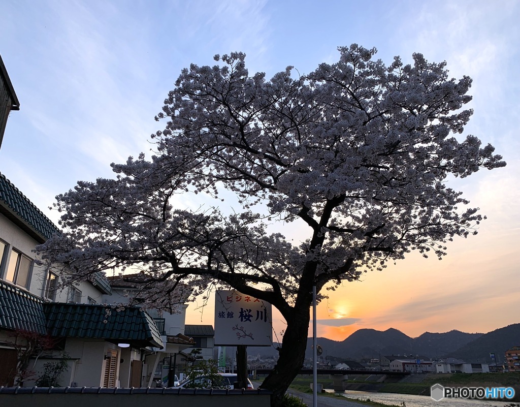 ふるさと「桜川」