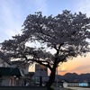 ふるさと「桜川」
