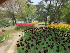 フラワーセンターにて3